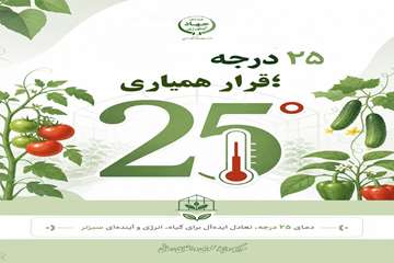 پویش 25 درجه